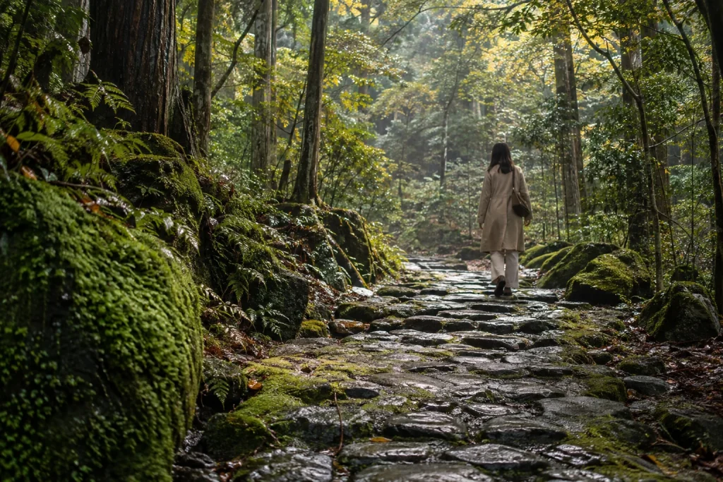 雨上がりの苔むした石径を一人でゆっくり歩く女性の後ろ姿