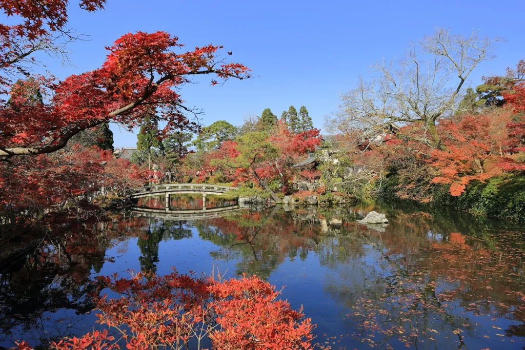 紅葉が水面に映り橋が架かる京都・永観堂の庭園