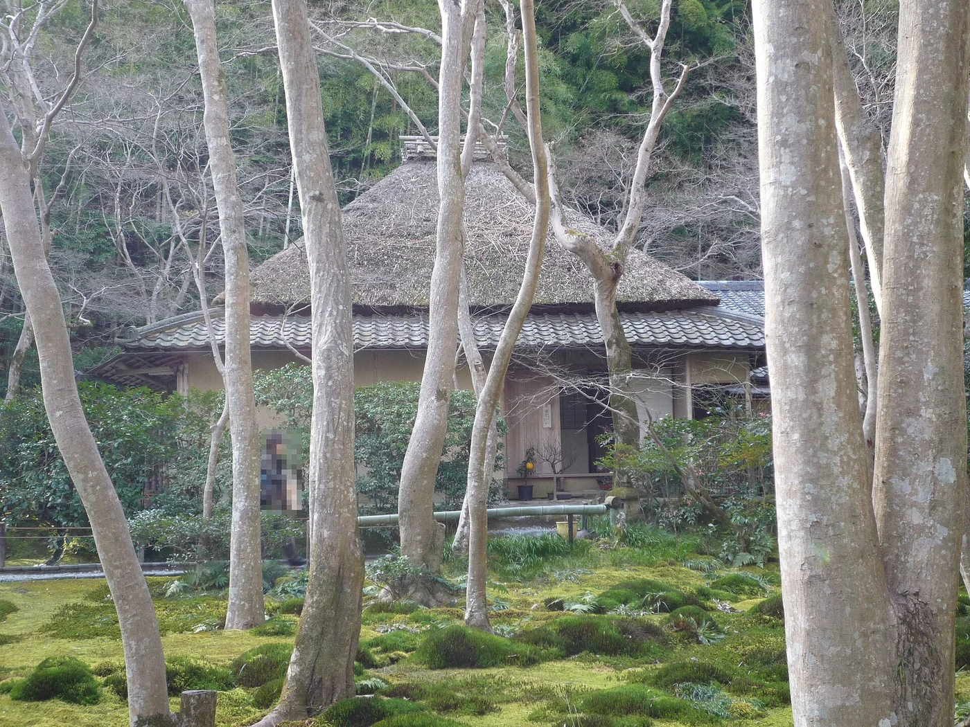 木立と苔庭の奥に草庵が見える嵯峨野の祇王寺