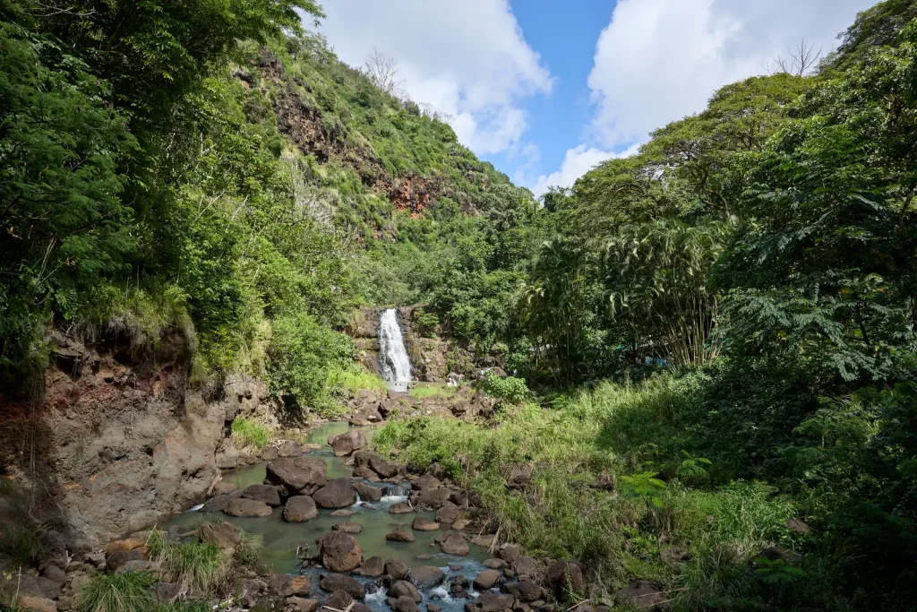 濃い緑と岩場に囲まれたワイメア滝