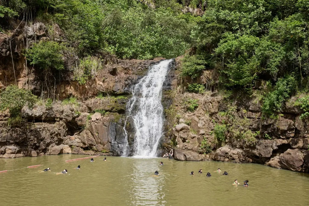 ワイメア滝の水辺で過ごす人々