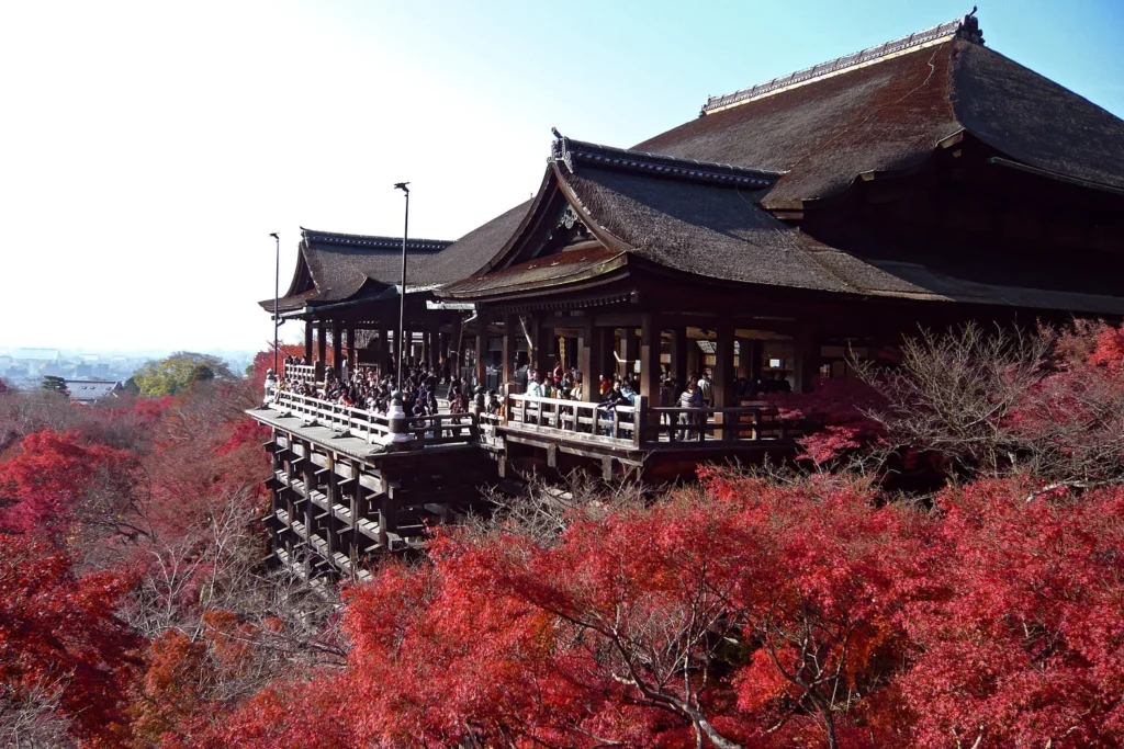 紅葉に囲まれた清水寺の本堂と舞台