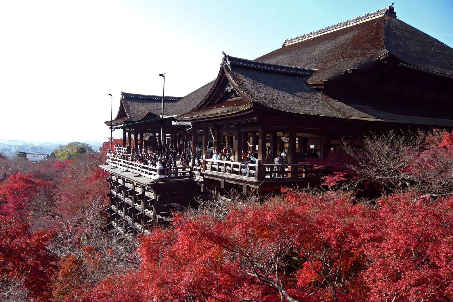 紅葉に囲まれた清水寺の本堂と舞台