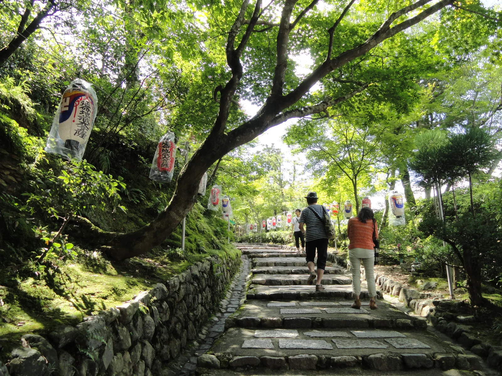 新緑と石垣に囲まれた石段を上る化野念仏寺の参道