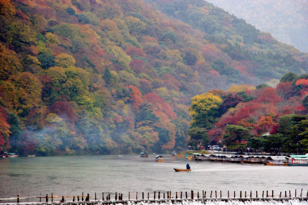 紅葉に包まれた嵐山と静かな保津川を行き交う小舟