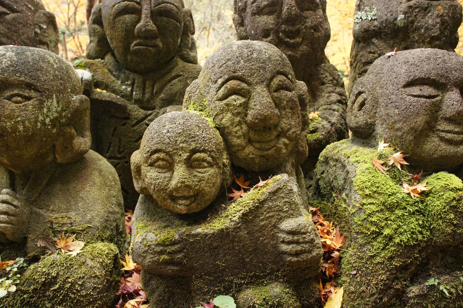 苔と紅葉に包まれ異なる表情を見せる愛宕念仏寺の羅漢像