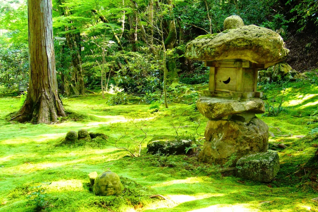 苔と杉木立に包まれた大原三千院の有清園