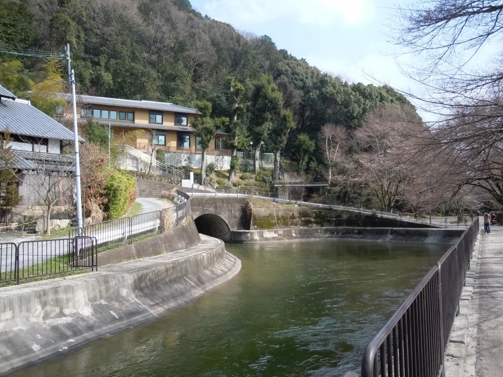 木々の間を静かに流れる山科の琵琶湖疏水