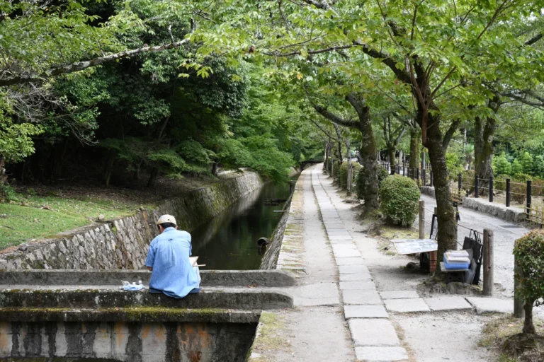 水辺に沿う哲学の道
