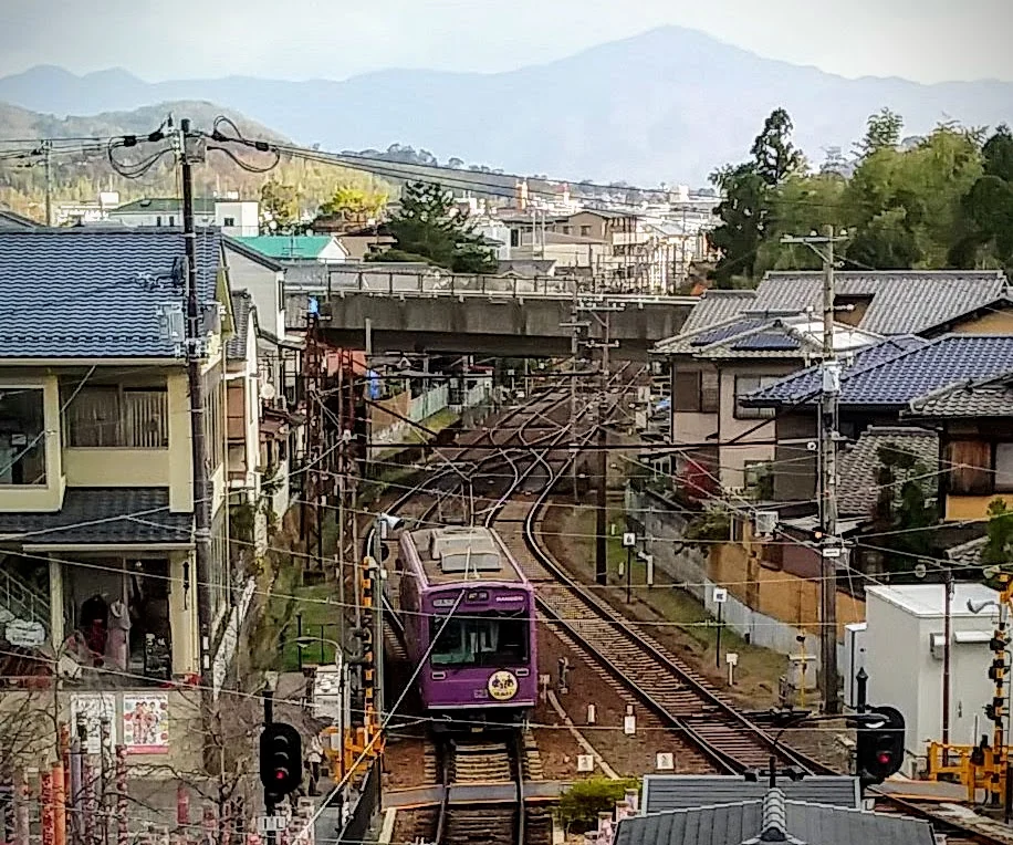 京都の住宅街を走る紫色の嵐電