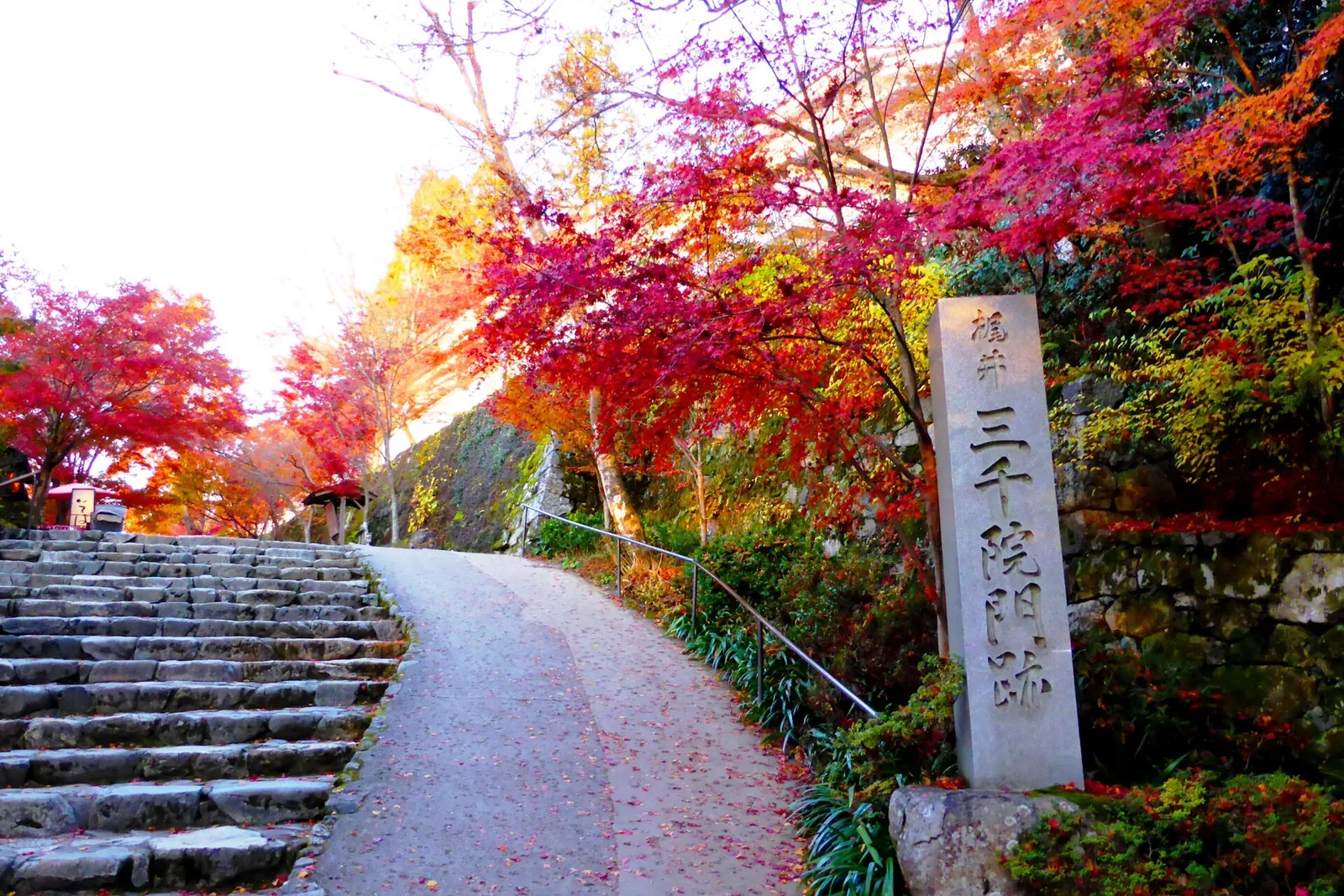 紅葉に包まれた大原三千院の参道と石段