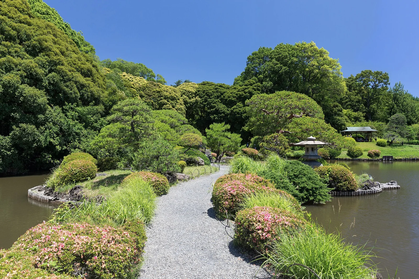 新宿御苑の日本庭園で池を渡る緑に包まれた小径