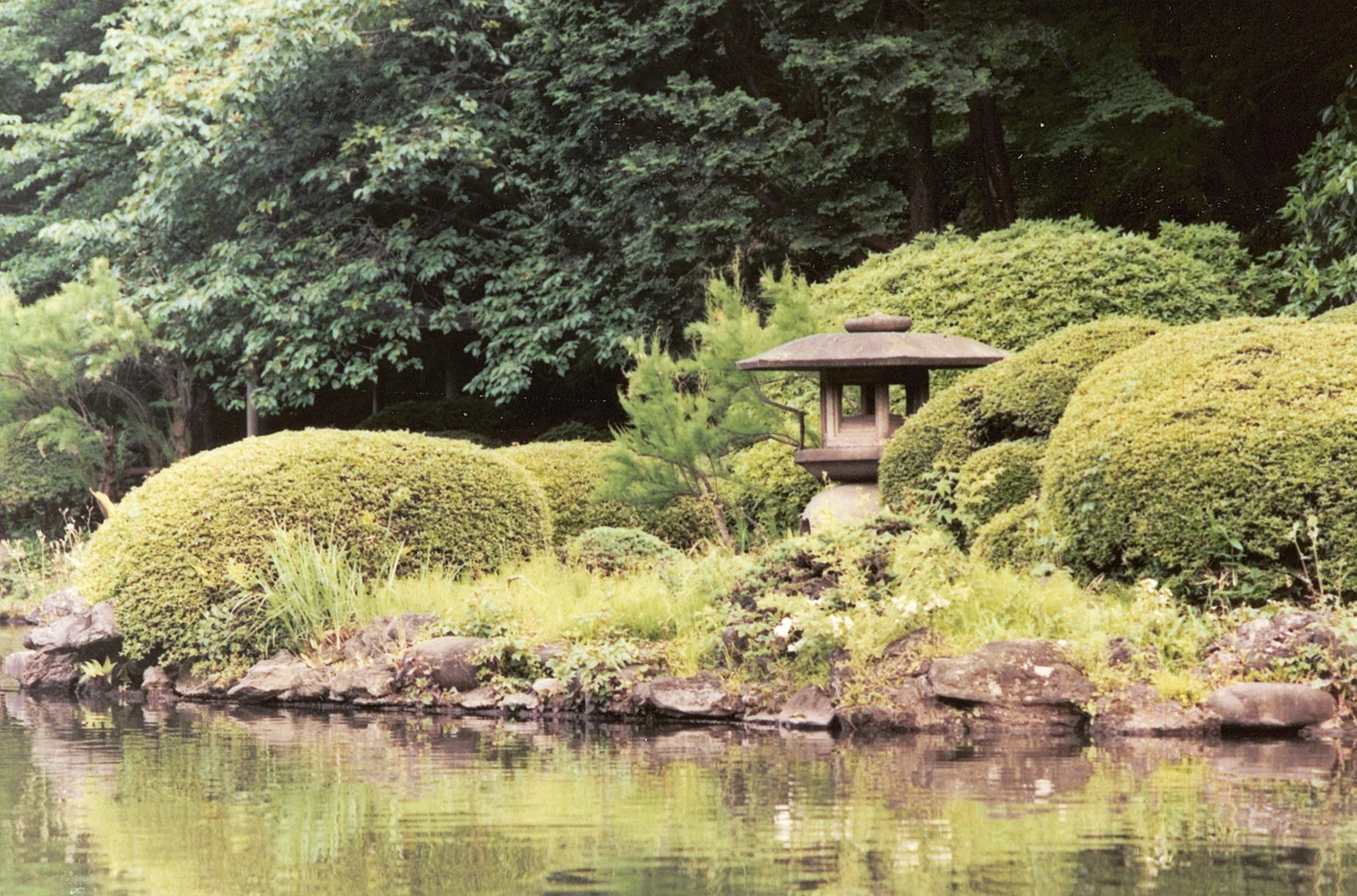池と石灯籠を望む新宿御苑の日本庭園