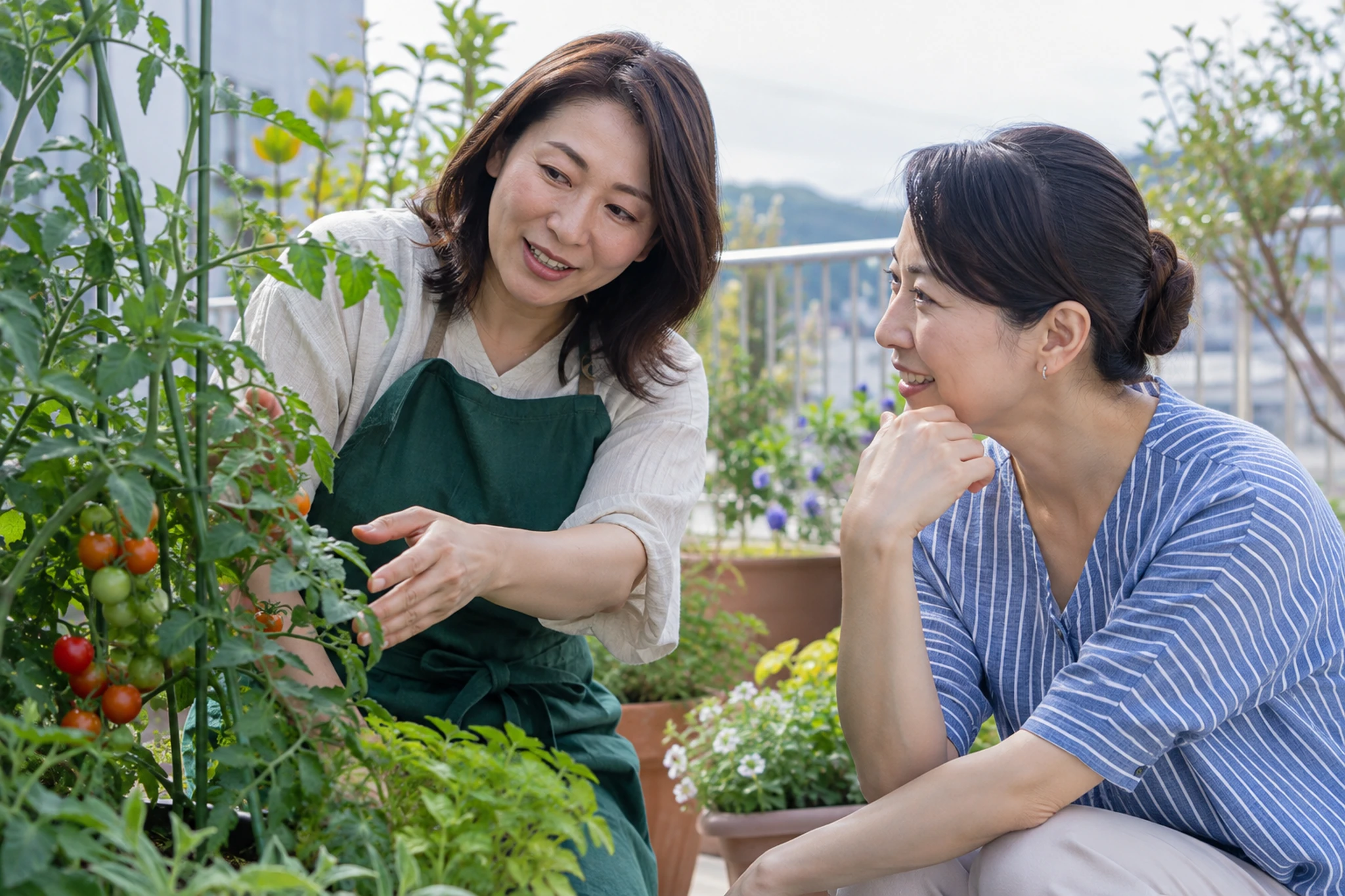 枯れ葉や害虫を確認して手入れする場面